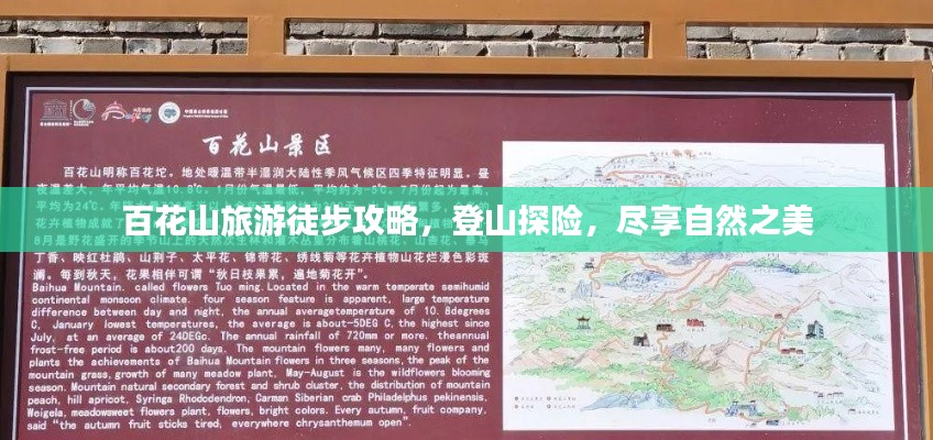 舉世無雙 第2頁
