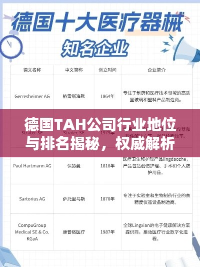 德國TAH公司行業(yè)地位與排名揭秘，權威解析引領關注焦點