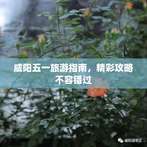 雅量高致 第2頁(yè)
