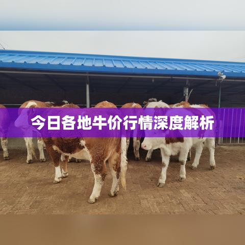 林下風氣 第2頁