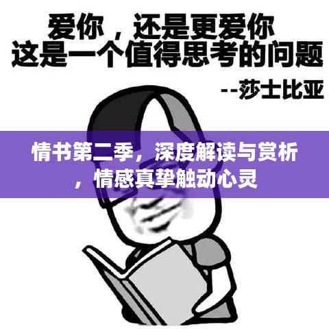 情書第二季，深度解讀與賞析，情感真摯觸動心靈
