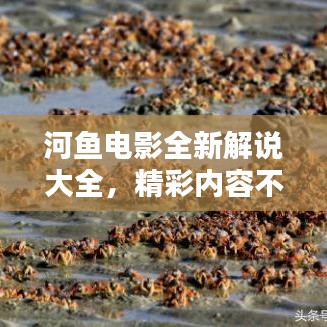 采椽不斫 第2頁