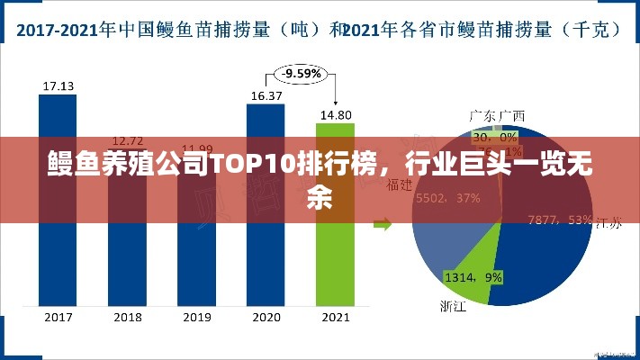 鰻魚養(yǎng)殖公司TOP10排行榜，行業(yè)巨頭一覽無余