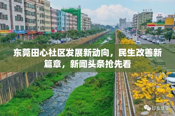 東莞田心社區(qū)發(fā)展新動(dòng)向，民生改善新篇章，新聞?lì)^條搶先看