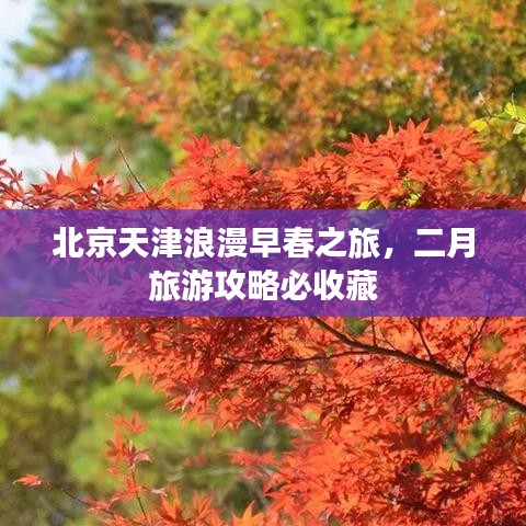 北京天津浪漫早春之旅，二月旅游攻略必收藏
