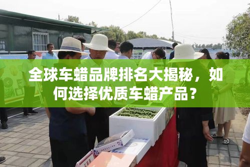 全球車蠟品牌排名大揭秘，如何選擇優(yōu)質(zhì)車蠟產(chǎn)品？