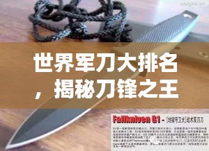世界軍刀大排名，揭秘刀鋒之王的神秘面紗！