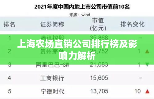 上海農(nóng)場(chǎng)直銷(xiāo)公司排行榜及影響力解析
