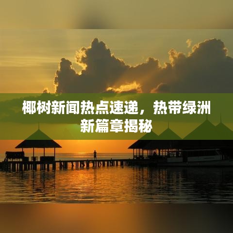 椰樹新聞熱點速遞，熱帶綠洲新篇章揭秘
