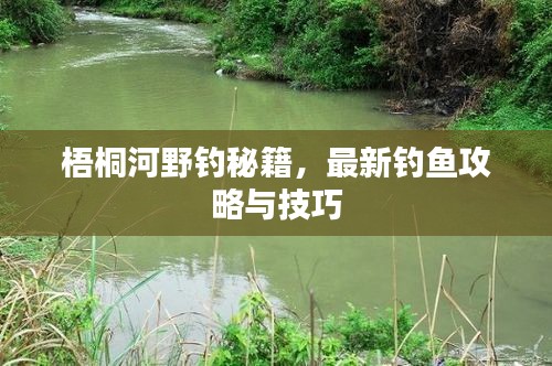 梧桐河野釣秘籍，最新釣魚(yú)攻略與技巧