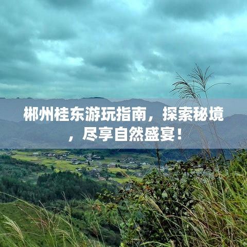 郴州桂東游玩指南，探索秘境，盡享自然盛宴！