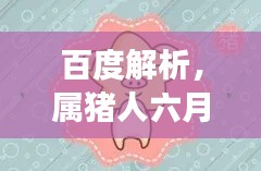 百度解析，屬豬人六月運(yùn)勢(shì)全面解讀