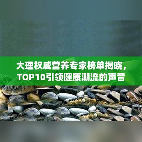 大理權(quán)威營(yíng)養(yǎng)專家榜單揭曉，TOP10引領(lǐng)健康潮流的聲音