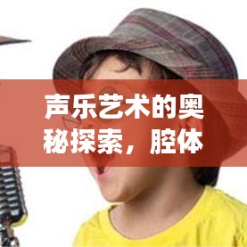 聲樂藝術(shù)的奧秘探索，腔體構(gòu)造圖全解析