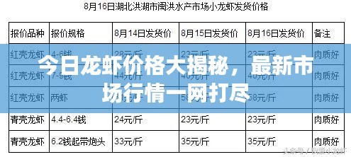 今日龍蝦價格大揭秘，最新市場行情一網(wǎng)打盡
