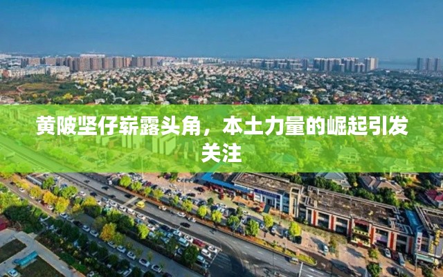 黃陂堅仔嶄露頭角，本土力量的崛起引發(fā)關注