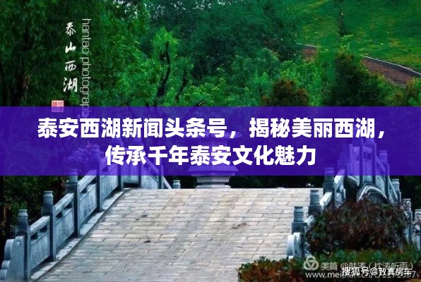 泰安西湖新聞頭條號，揭秘美麗西湖，傳承千年泰安文化魅力