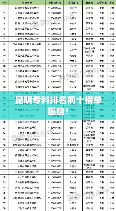 昆明專科排名前十榜單揭曉！