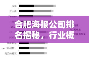 合肥海報公司排名揭秘，行業(yè)概覽一網(wǎng)打盡