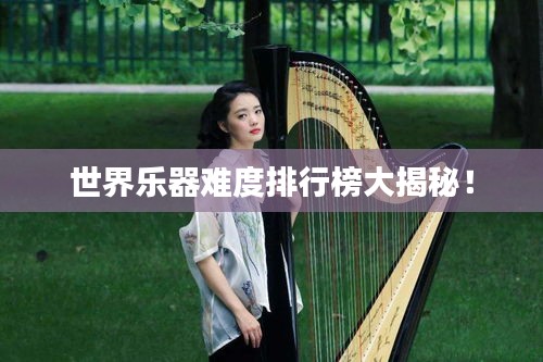 世界樂器難度排行榜大揭秘！