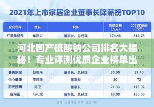 河北國產(chǎn)硫酸鈉公司排名大揭秘！專業(yè)評測優(yōu)質(zhì)企業(yè)榜單出爐！