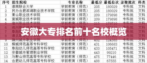 安徽大專(zhuān)排名前十名校概覽