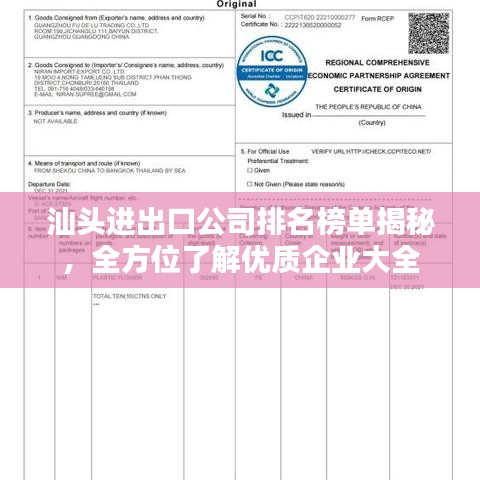 汕頭進出口公司排名榜單揭秘，全方位了解優(yōu)質(zhì)企業(yè)大全