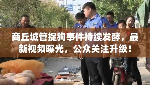 商丘城管捉狗事件持續(xù)發(fā)酵，最新視頻曝光，公眾關(guān)注升級！