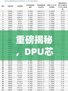 重磅揭秘，DPU芯片公司排名及行業(yè)深度剖析！