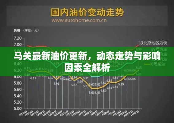 馬關(guān)最新油價(jià)更新，動(dòng)態(tài)走勢(shì)與影響因素全解析