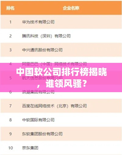 中國軟公司排行榜揭曉，誰領(lǐng)風騷？