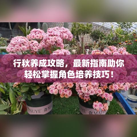 行秋養(yǎng)成攻略，最新指南助你輕松掌握角色培養(yǎng)技巧！