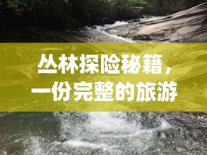 叢林探險秘籍，一份完整的旅游攻略