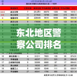 東北地區(qū)警察公司排名揭秘，影響力與實(shí)力并存的警務(wù)巨頭榜單