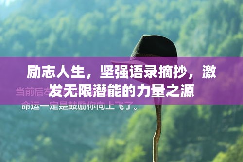 勵志人生，堅強語錄摘抄，激發(fā)無限潛能的力量之源