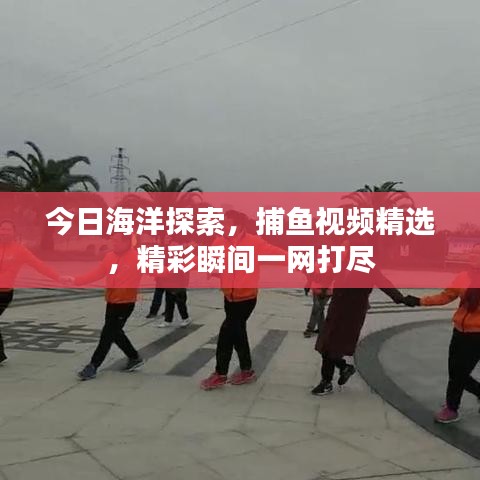 今日海洋探索，捕魚視頻精選，精彩瞬間一網(wǎng)打盡