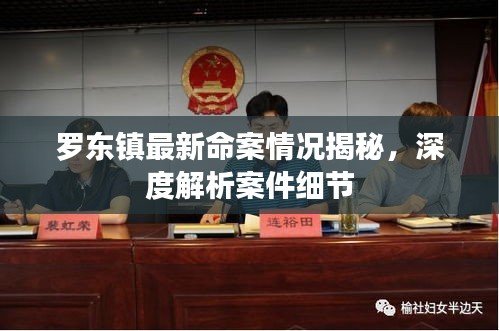 羅東鎮(zhèn)最新命案情況揭秘，深度解析案件細(xì)節(jié)
