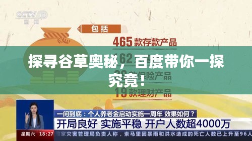 探尋谷草奧秘，百度帶你一探究竟！