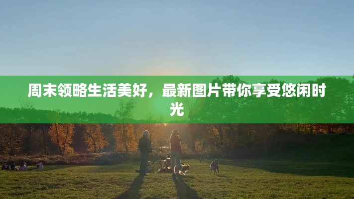 周末領(lǐng)略生活美好，最新圖片帶你享受悠閑時(shí)光