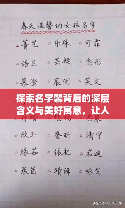探索名字馨背后的深層含義與美好寓意，讓人心動的名字故事！