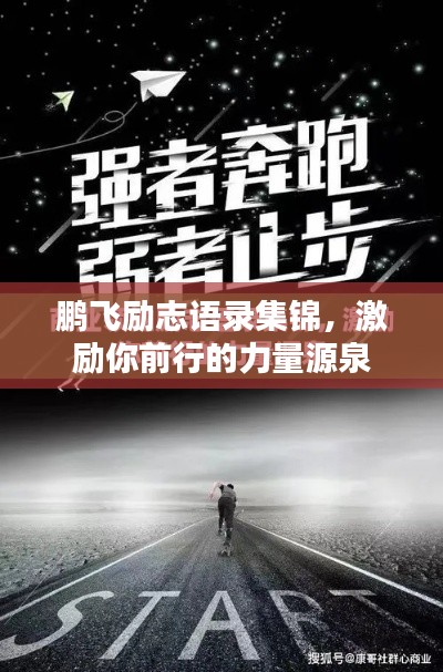 鵬飛勵志語錄集錦，激勵你前行的力量源泉