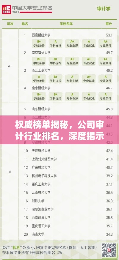 權(quán)威榜單揭秘，公司審計(jì)行業(yè)排名，深度揭示行業(yè)格局