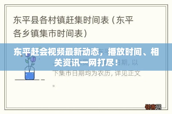 東平趕會視頻最新動態(tài)，播放時間、相關(guān)資訊一網(wǎng)打盡！