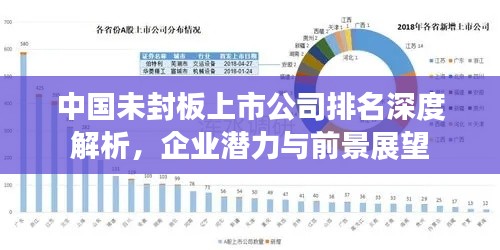 中國未封板上市公司排名深度解析，企業(yè)潛力與前景展望