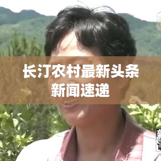 一石三鳥 第2頁