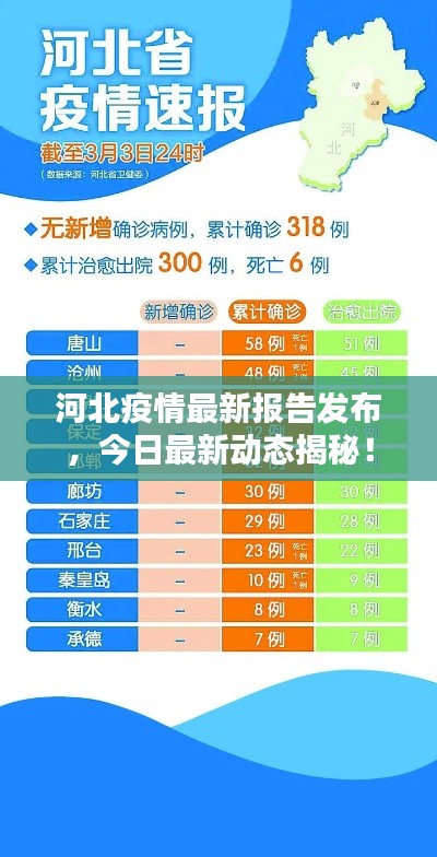 河北疫情最新報(bào)告發(fā)布，今日最新動(dòng)態(tài)揭秘！