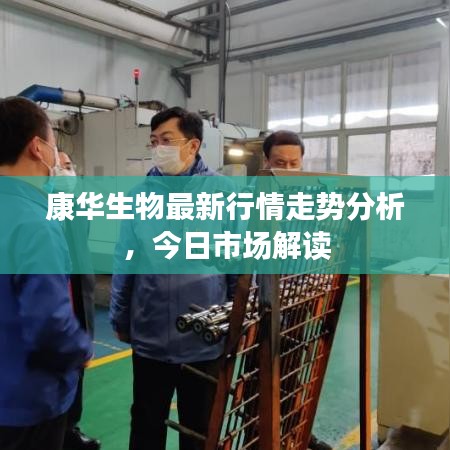 康華生物最新行情走勢分析，今日市場解讀