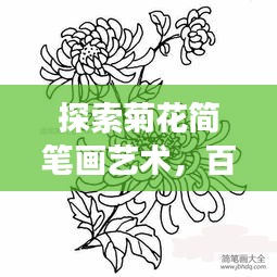 探索菊花簡筆畫藝術(shù)，百度上的創(chuàng)意手繪之旅
