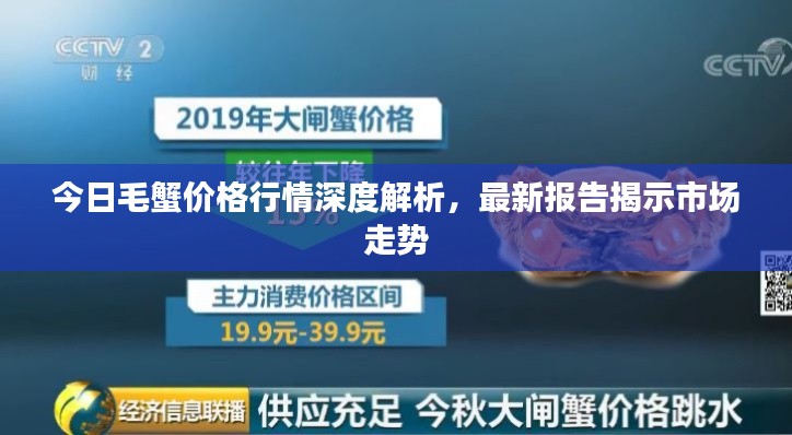 今日毛蟹價格行情深度解析，最新報告揭示市場走勢