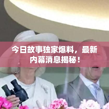今日故事獨(dú)家爆料，最新內(nèi)幕消息揭秘！